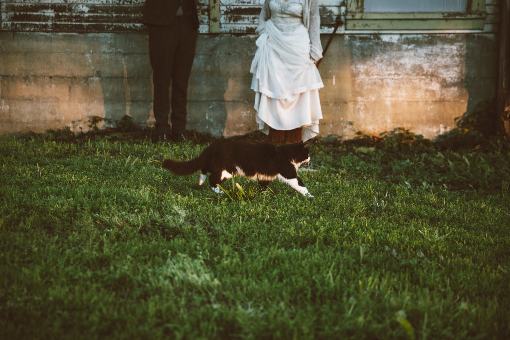 VCPhoto_Pfeiffer_Wedding_764