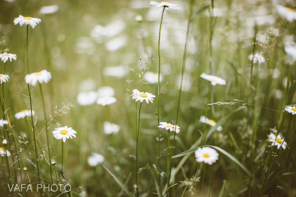 Little_Presque_Engagement_Melissa_Gavin_VP167