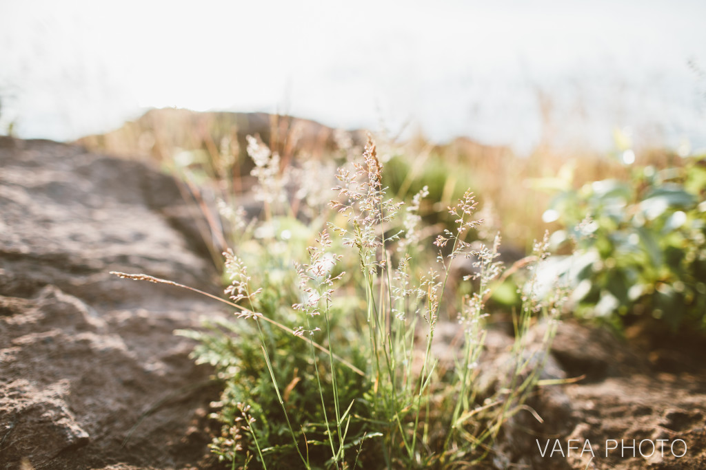 Presque_Isle_Engagement_Abby_Joshua_VP18