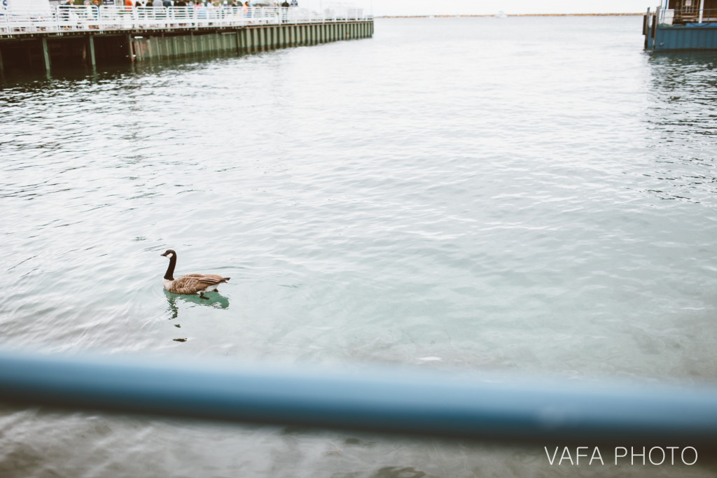 Mackinac_Island_Engagement_Jacqueline_Hayes_VP77