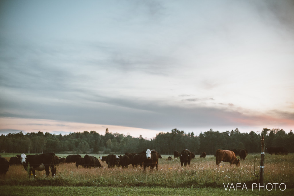 Rock_Michigan_Wedding_Cassey_Tony_VP762