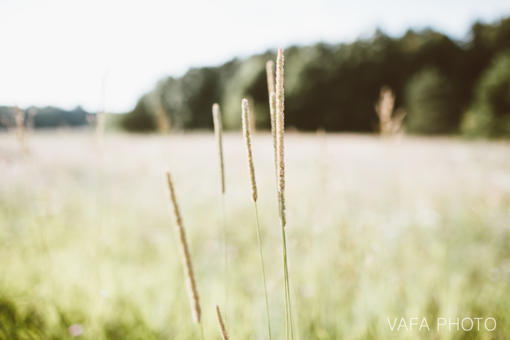 Wittenbach_Nature_Center_Engagement_Sarah_Mark_VP173