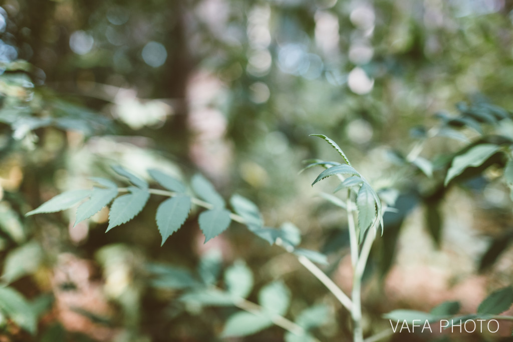 Wittenbach_Nature_Center_Engagement_Sarah_Mark_VP18