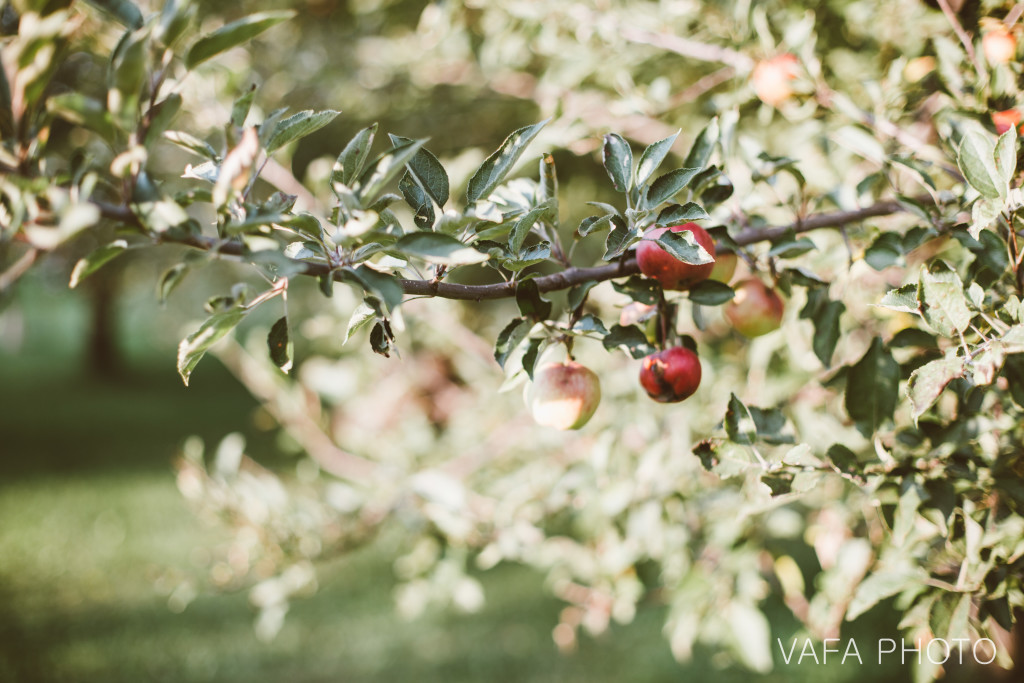 Belsolda_Farms_Wedding_Amanda_Kyle_VP209