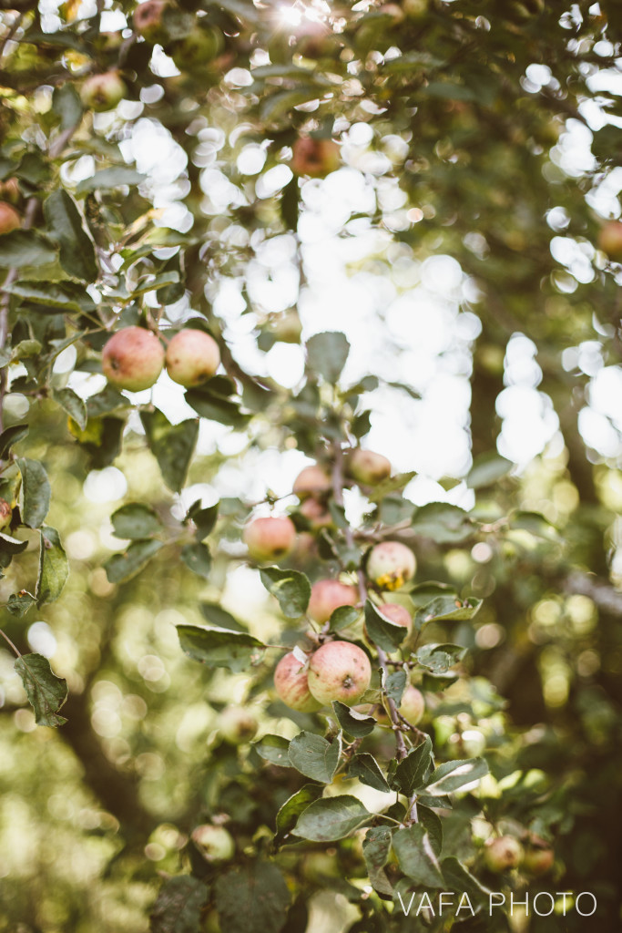 Belsolda_Farms_Wedding_Amanda_Kyle_VP461