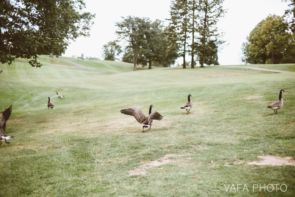 Kalamazoo-Michigan-Wedding-Sarah-Mark-VP512