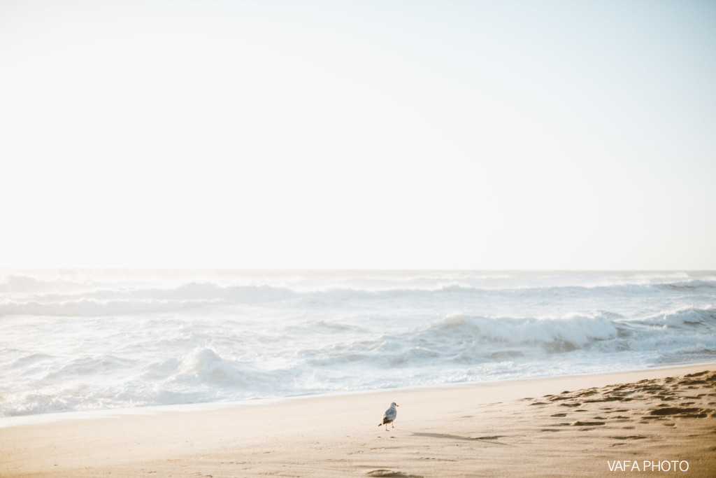 Montara-Beach-Maternity-Jenna-Joey-VP-43