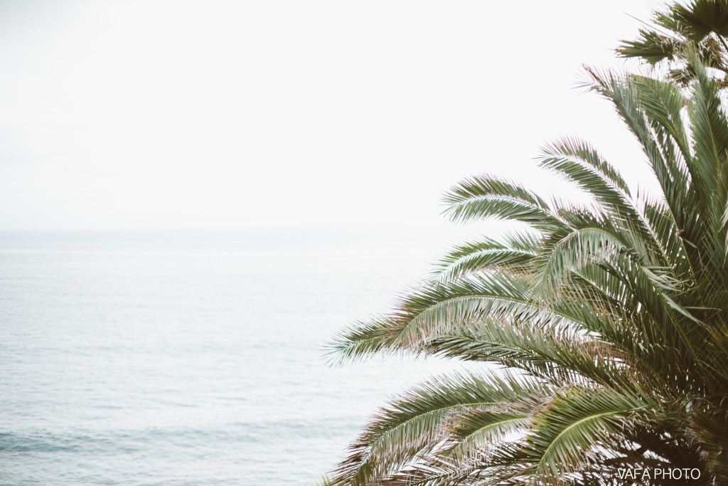 Swamis-Beach-Engagement-Melissa-Boaz-VP-19