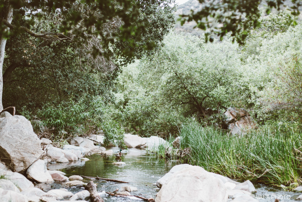 Elfin-Forest-Engagement-Lauren-Mike-VP-154