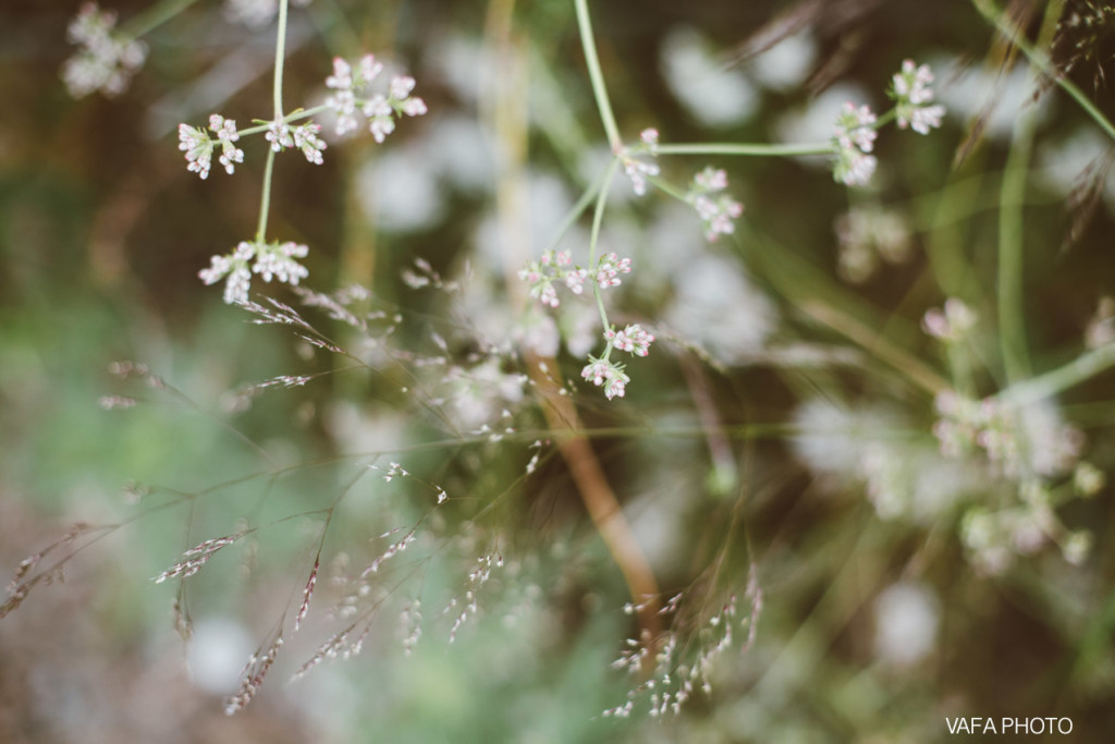 Elfin-Forest-Engagement-Lauren-Mike-VP-171