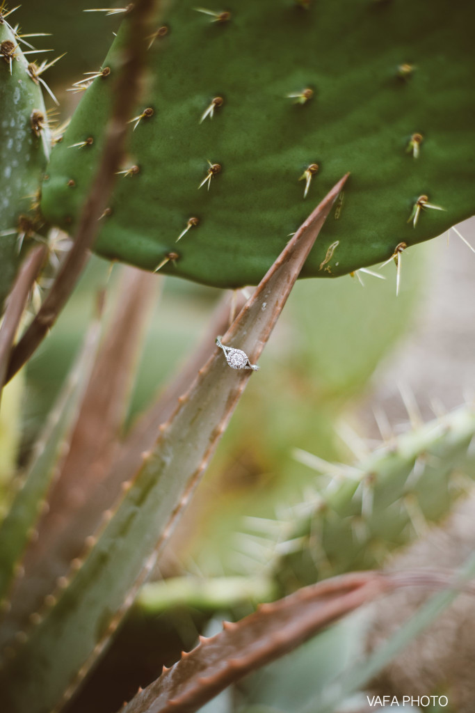 Felicita-Park-Engagement-Dezirae-Eric-VP-163