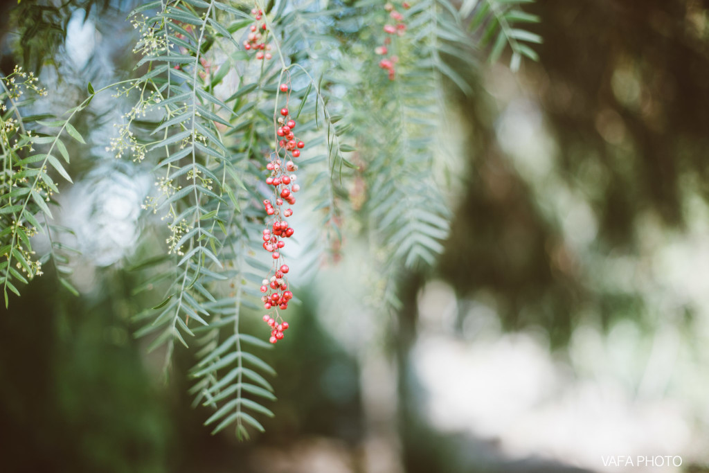 Felicita-Park-Engagement-Dezirae-Eric-VP-53