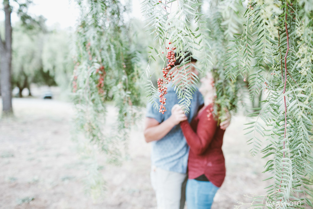 Felicita-Park-Engagement-Dezirae-Eric-VP-95