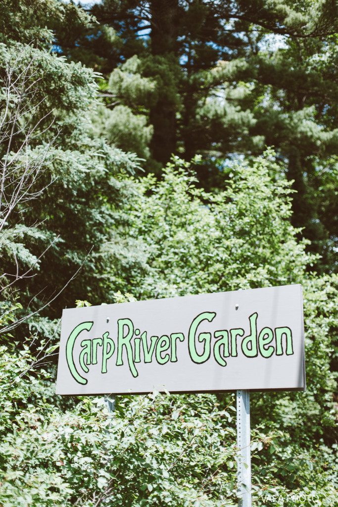 Carp-River-Garden-Wedding-Abby-Josh-Vafa-Photo-191