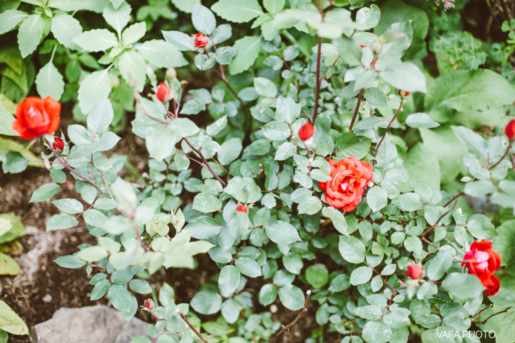 Carp-River-Garden-Wedding-Abby-Josh-Vafa-Photo-199