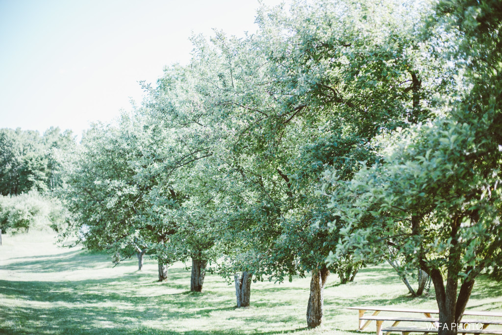 Belsolda-Farm-Wedding-Kate-Fadi-Vafa-Photo-429