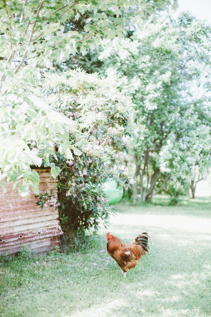 Belsolda-Farm-Wedding-Kate-Fadi-Vafa-Photo-431