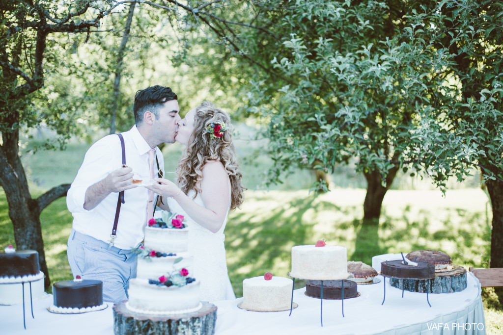 Belsolda-Farm-Wedding-Kate-Fadi-Vafa-Photo-843