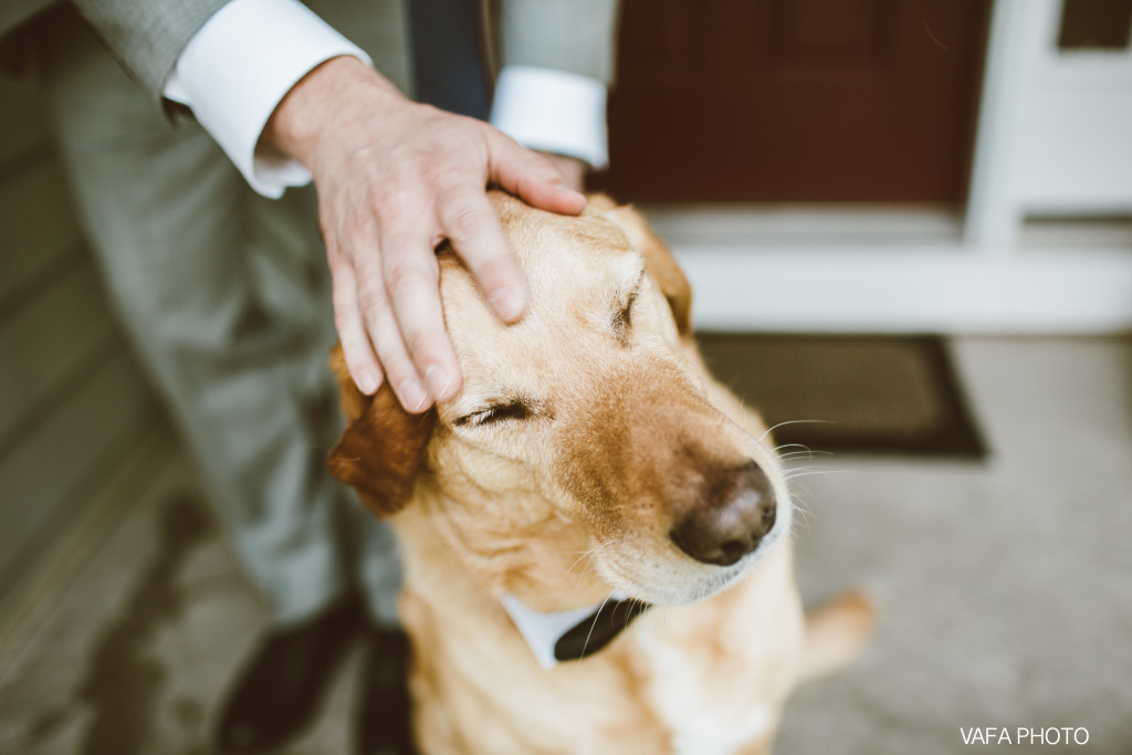 Downtown-Marquette-Wedding-Hanna-Mike-Vafa-Photo-209